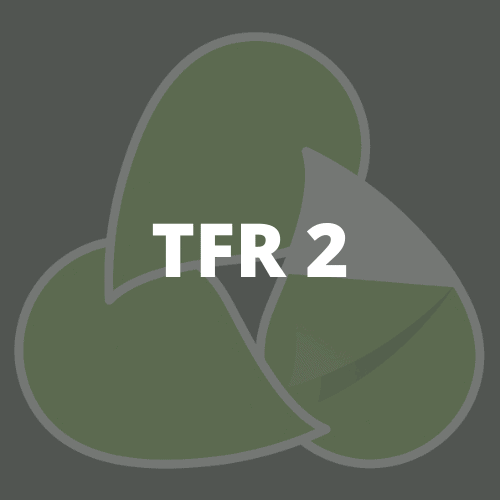 TFR 2
